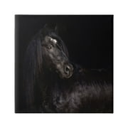 Stupell Industries Elegant Black Stallion Animals & Insects Photography Gallery Wrapped Canvas Art Print Wall Art, 17 x 17