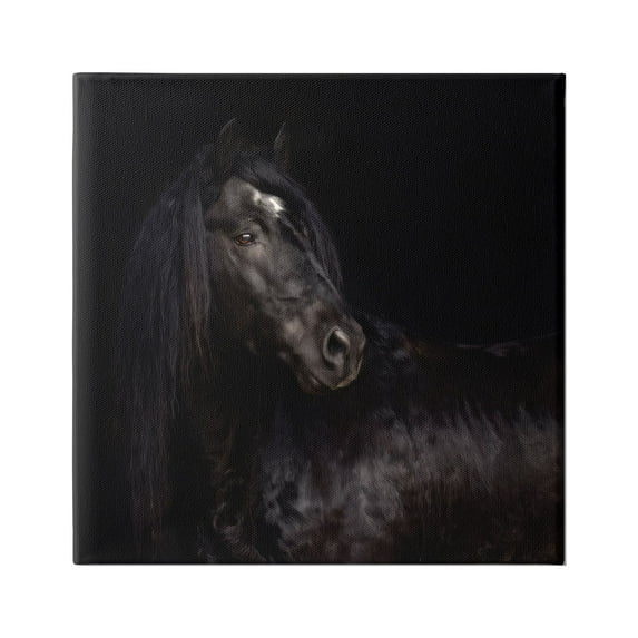 Stupell Industries Elegant Black Stallion Animals & Insects Photography Gallery Wrapped Canvas Art Print Wall Art, 24 x 24