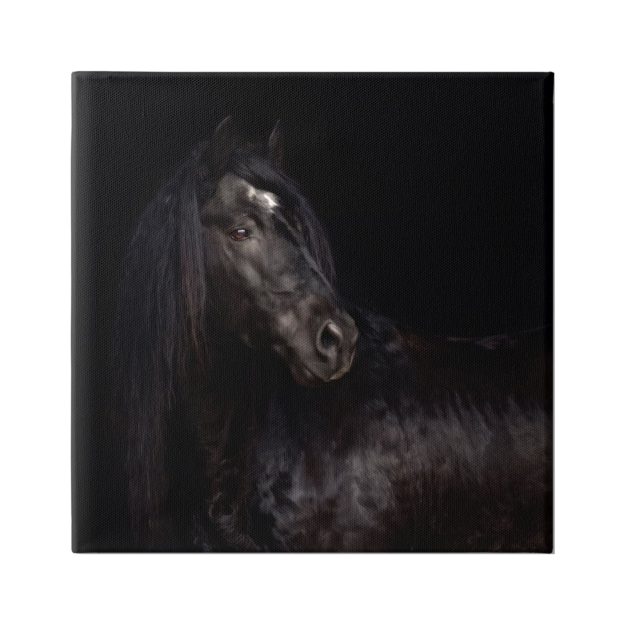 Stupell Industries Elegant Black Stallion Animals & Insects Photography Gallery Wrapped Canvas Art Print Wall Art, 36 x 36