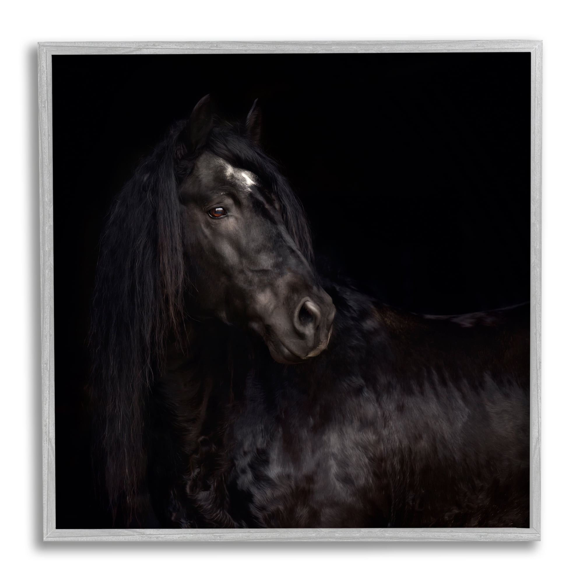 Stupell Industries Elegant Black Stallion Animals & Insects Photography Gray Framed Art Print Wall Art, 17 x 17