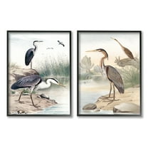 Stupell Industries Elegant Heron Birds Foraging River Edge Scene Graphic Art Black Framed Art Print Wall Art, Set of 2, Design by Piddix