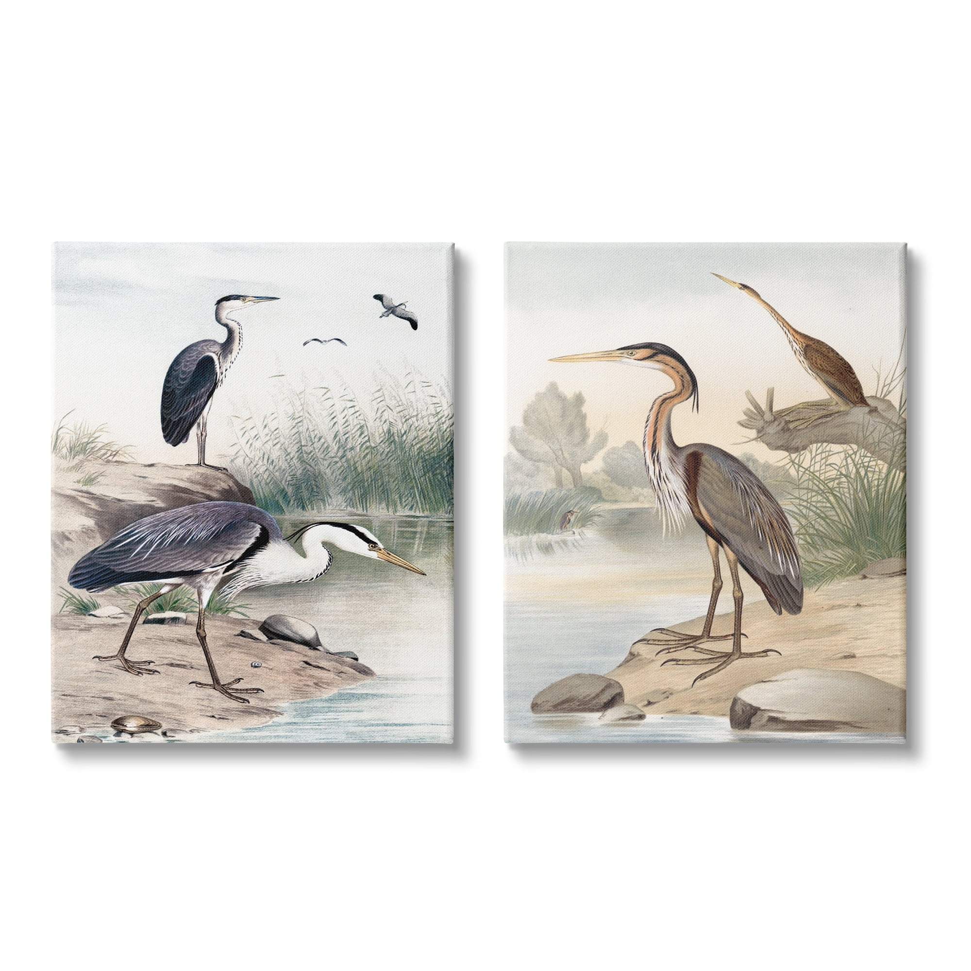 Stupell Industries Elegant Heron Birds Foraging River Edge Scene Graphic Art Gallery Wrapped Canvas Print Wall Art, Set of 2, Design by Piddix