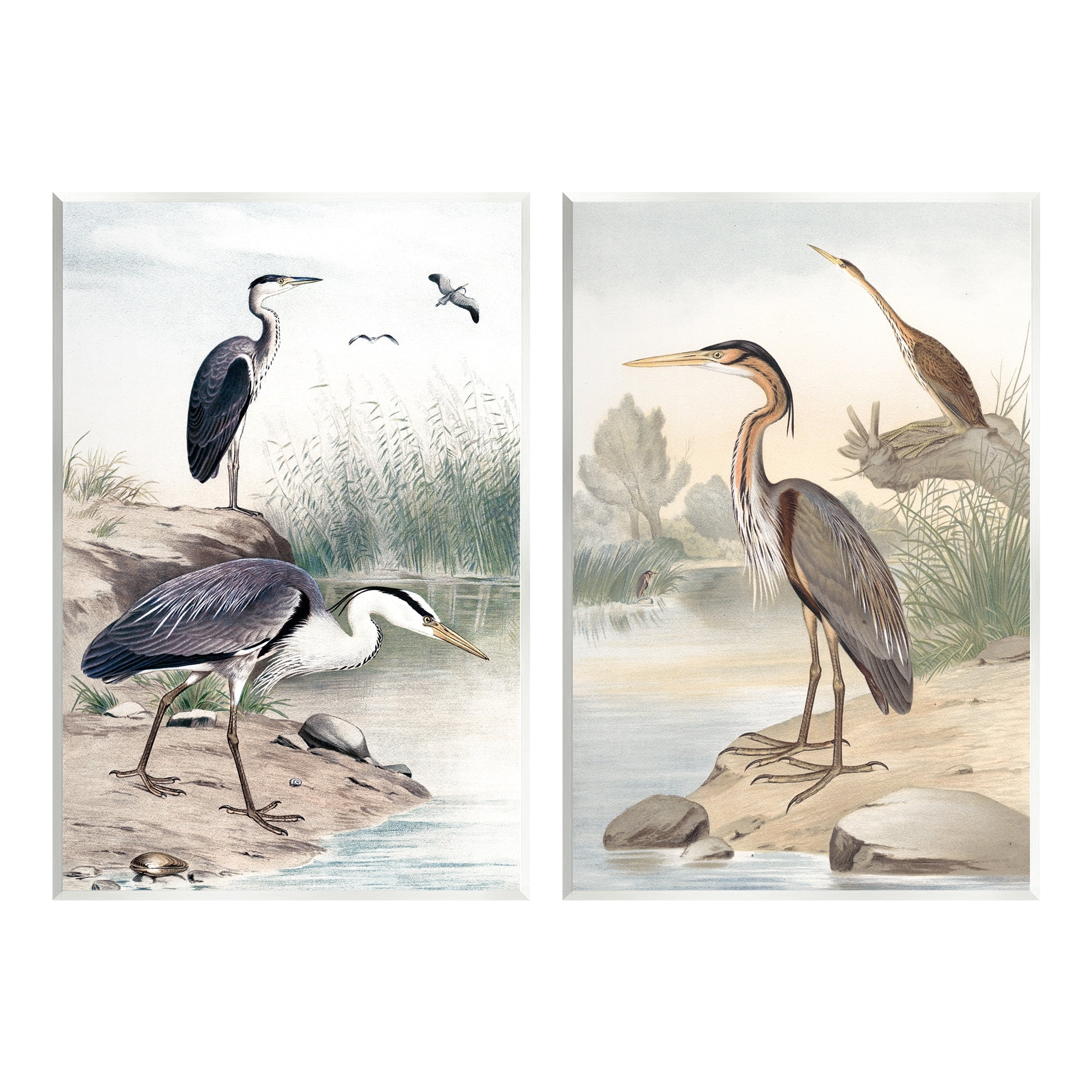 Stupell Industries Elegant Heron Birds Foraging River Edge Scene Graphic Art Unframed Art Print Wall Art, Set of 2, Design by Piddix