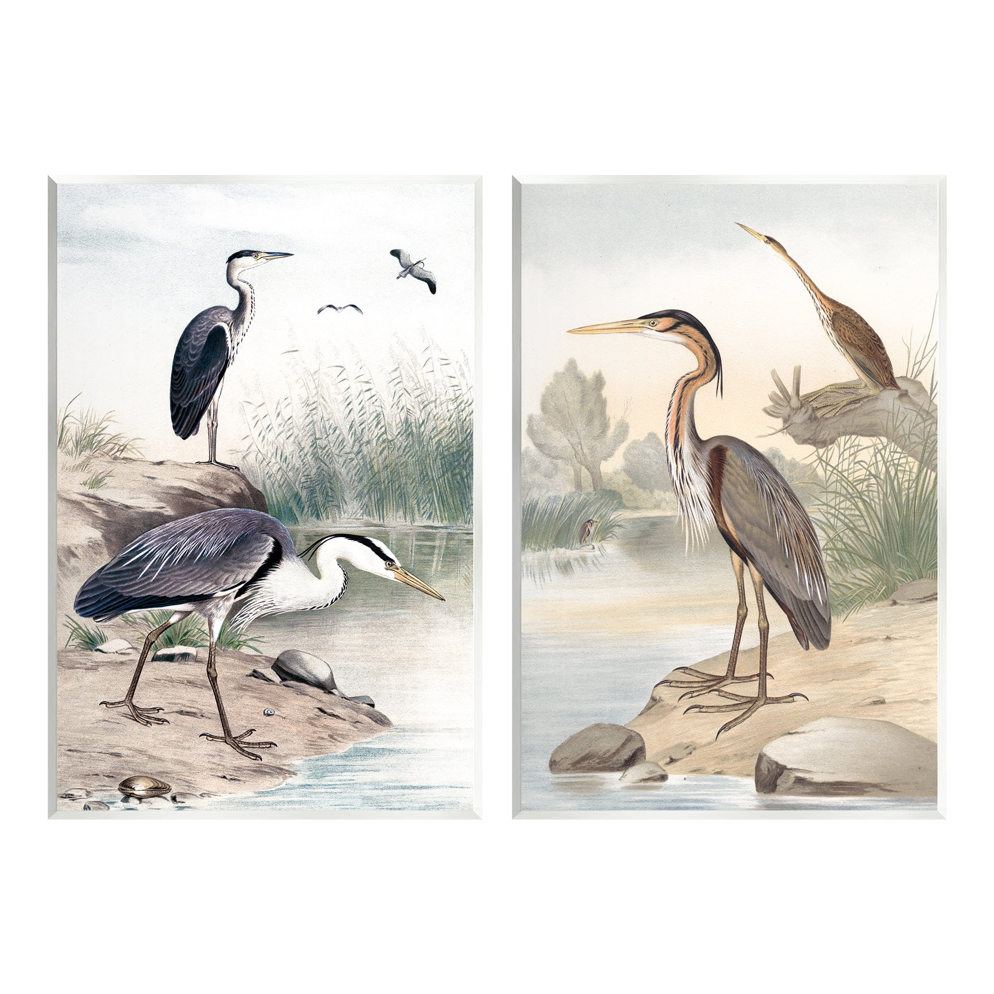 Stupell Industries Elegant Heron Birds Foraging River Edge Scene Graphic Art Unframed Art Print Wall Art, Set of 2, Design by Piddix