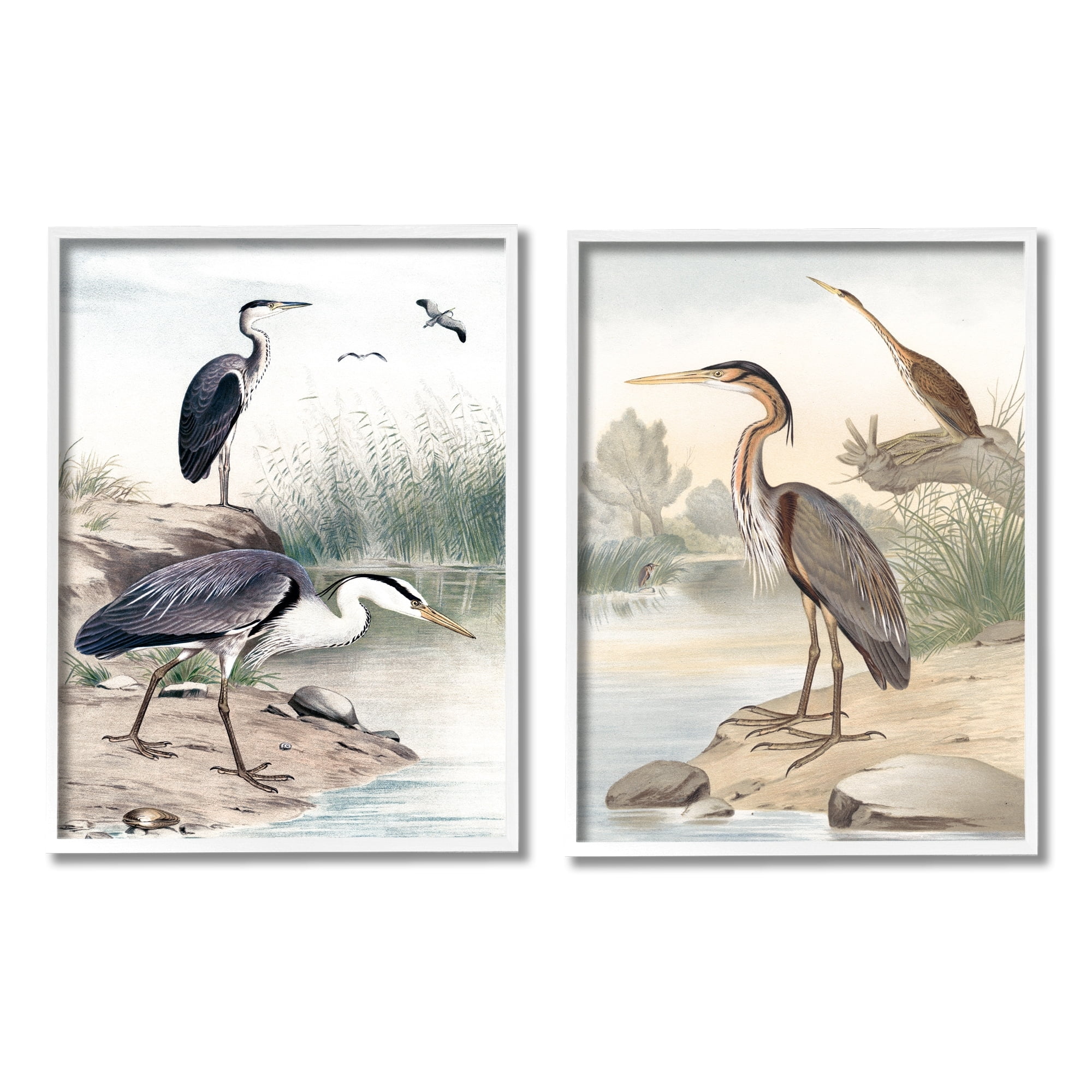 Stupell Industries Elegant Heron Birds Foraging River Edge Scene Graphic Art White Framed Art Print Wall Art, Set of 2, Design by Piddix