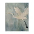 thumbnail image 1 of Stupell Industries Traditional Elegant Island Specter Canvas Art, 16 x 20, by Grace Popp, 1 of 7