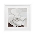 thumbnail image 1 of Stupell Industries Elegant Magnolia Bloom White Framed Print Under Glass design by Hannah Dawson, 16 x 16, 1 of 10