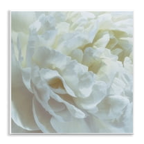 Stupell Industries Elegant White Petals Floral Painting Unframed Art Print Wall Art, 12 x 12
