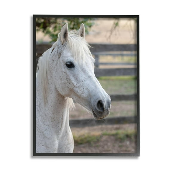 Stupell Industries Elegant White Spotted Horse Rural Country Farm Photograph Black Framed Art Print Wall Art, Design by Daphne Polselli