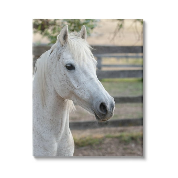 Stupell Industries Elegant White Spotted Horse Rural Country Farm Photograph Gallery Wrapped Canvas Print Wall Art, Design by Daphne Polselli