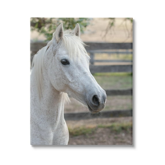 Stupell Industries Elegant White Spotted Horse Rural Country Farm Photograph Gallery Wrapped Canvas Print Wall Art, Design by Daphne Polselli