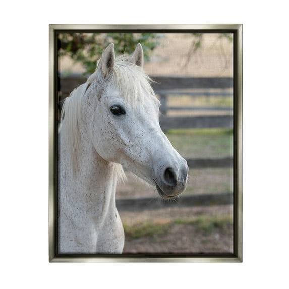Stupell Industries Elegant White Spotted Horse Rural Country Farm Photograph Luster Gray Floating Framed Canvas Print Wall Art, Design by Daphne Polselli