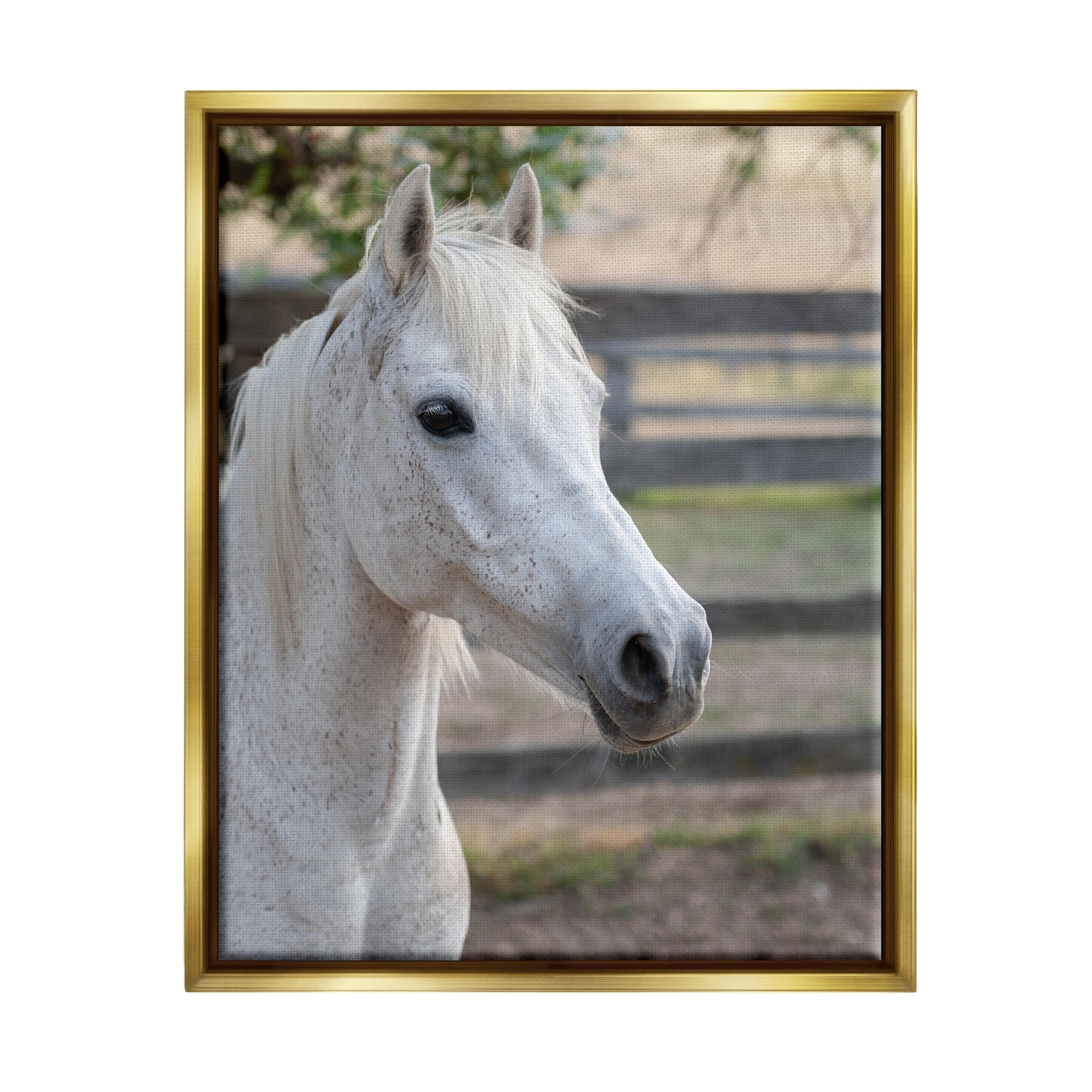 Stupell Industries Elegant White Spotted Horse Rural Country Farm Photograph Metallic Gold Floating Framed Canvas Print Wall Art, Design by Daphne Polselli