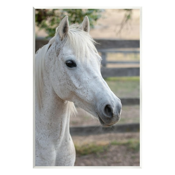 Stupell Industries Elegant White Spotted Horse Rural Country Farm Photograph Unframed Art Print Wall Art, Design by Daphne Polselli