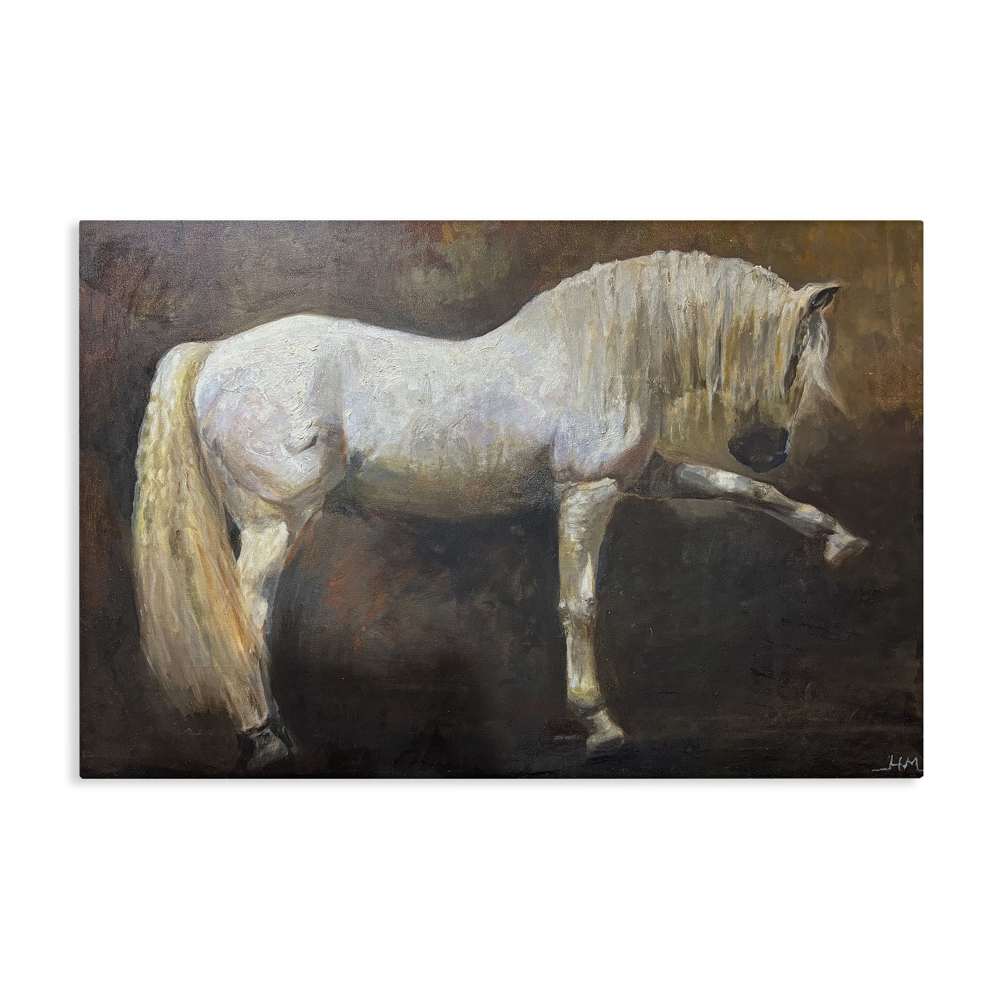 Stupell Industries Elegant White Stallion in Motion Canvas Wall Art, design by Hilary McCarthy