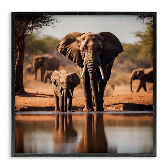 Stupell Industries Elephant & Calf at Waterhole Animals Photography Black Framed Art Print Wall Art, 12 x 12