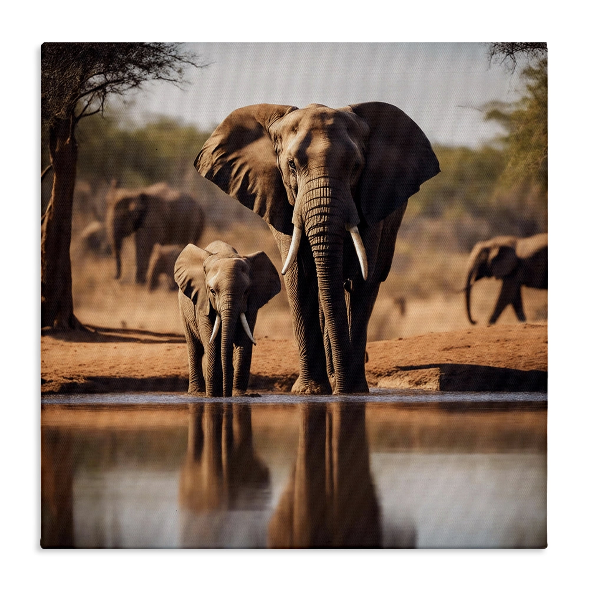 Stupell Industries Elephant & Calf at Waterhole Animals Photography Wrapped Canvas Art Print Wall Art, 36 x 36
