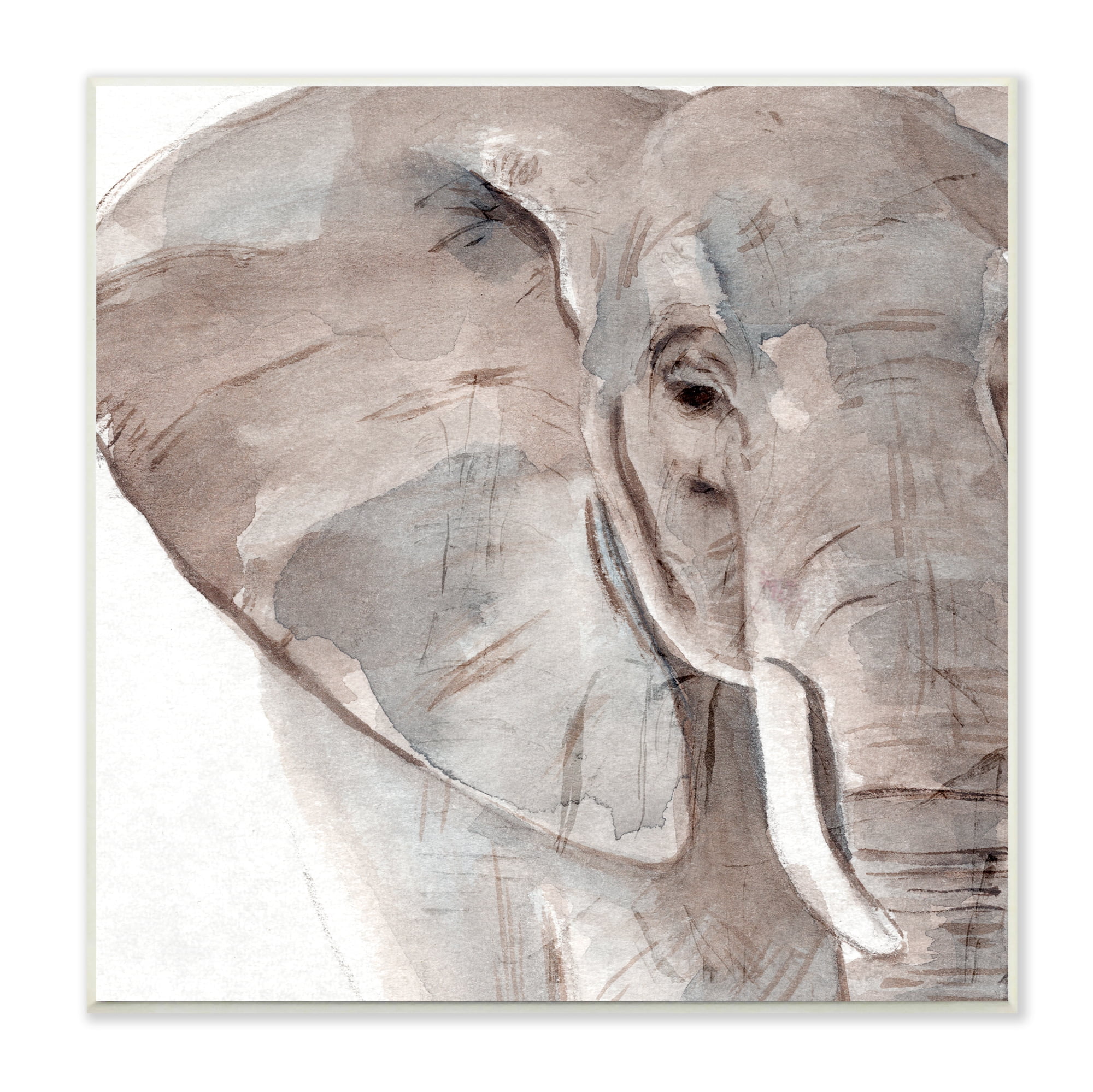 Stupell Industries Elephant Ear Animal Portrait Small Husks Grey Wrinkles, 12 x 12, Design by Annie Warren&nbsp;