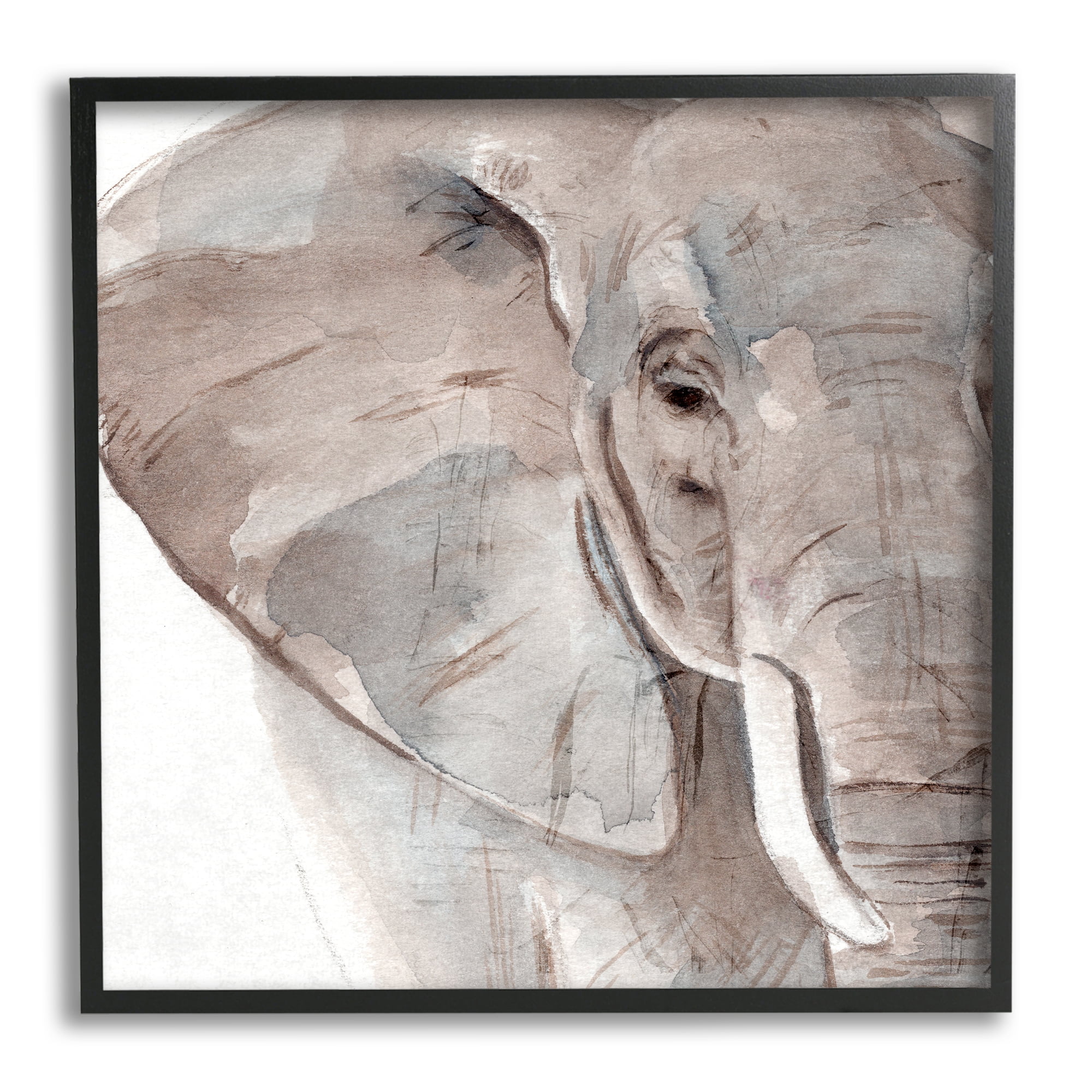 Stupell Industries Elephant Ear Animal Portrait Small Husks Grey Wrinkles, 12 x 12, Design by Annie WarrenÂ&nbsp;