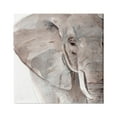 thumbnail image 1 of Stupell Industries Elephant Ear Animal Portrait Small Husks Grey Wrinkles, 17 x 17, Design by Annie Warren&nbsp;, 1 of 6