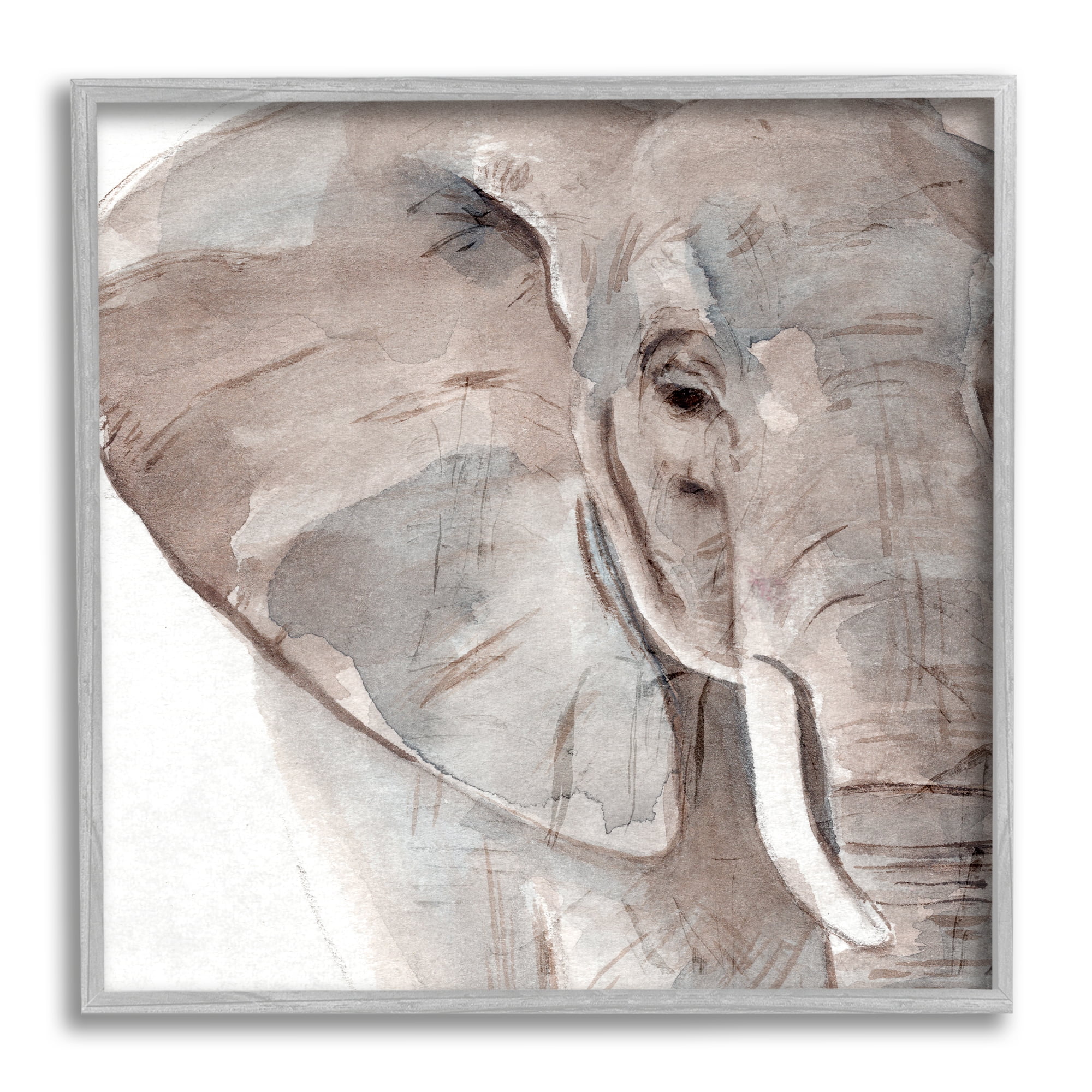 Stupell Industries Elephant Ear Animal Portrait Small Husks Grey Wrinkles, 24 x 24, Design by Annie Warren&nbsp;