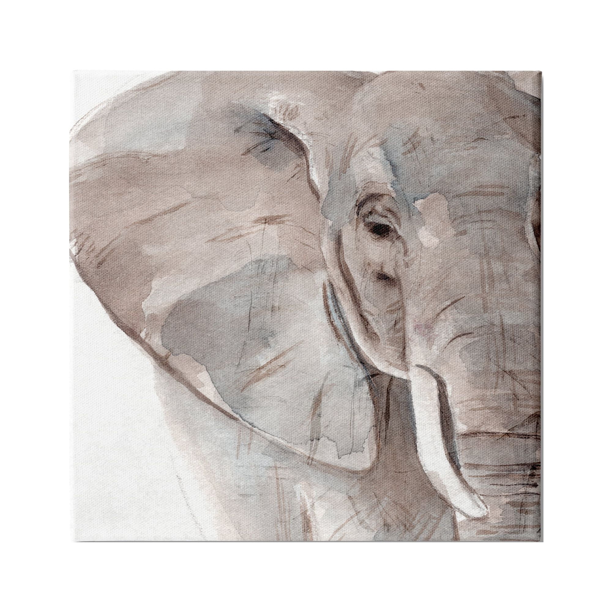 Stupell Industries Elephant Ear Animal Portrait Small Husks Grey Wrinkles, 24 x 24, Design by Annie Warren&nbsp;