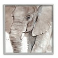 thumbnail image 1 of Stupell Industries Elephant Trunk Animal Portrait Grey Wrinkles Small Husks, 17 x 17, Design by Annie Warren&nbsp;, 1 of 7