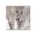 thumbnail image 1 of Stupell Industries Elephant Trunk Animal Portrait Grey Wrinkles Small Husks, 17 x 17, Design by Annie WarrenÃÂ&nbsp;, 1 of 6