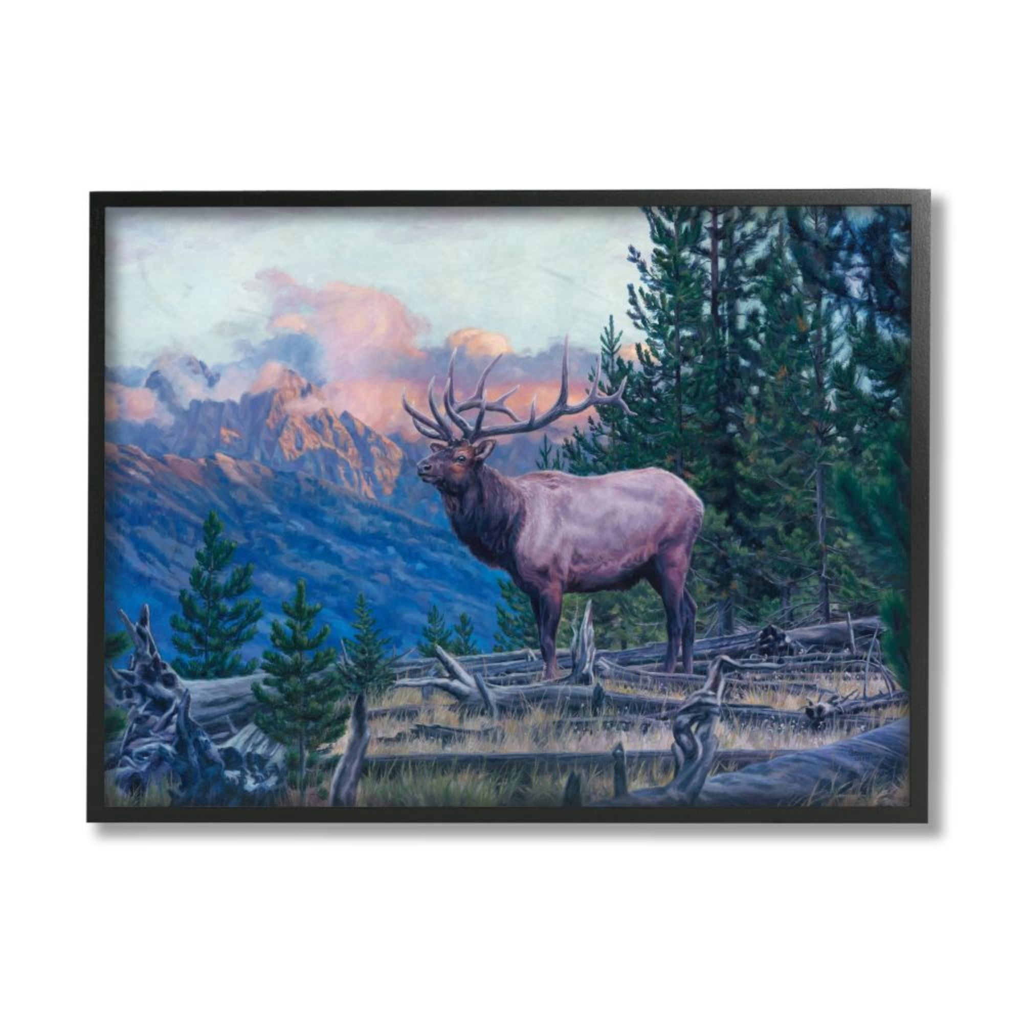 Stupell Industries Elk Forest Mountain Morning Sun Woodland Animal Design by David Graham, 16" x 20", Black Framed