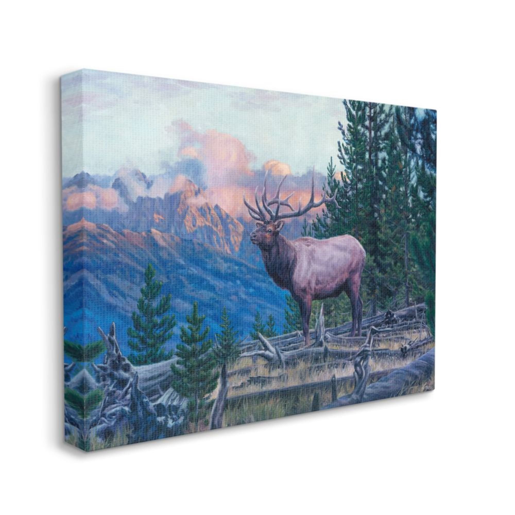 Stupell Industries Elk Forest Mountain Morning Sun Woodland Animal Design by David Graham, 36" x 48"