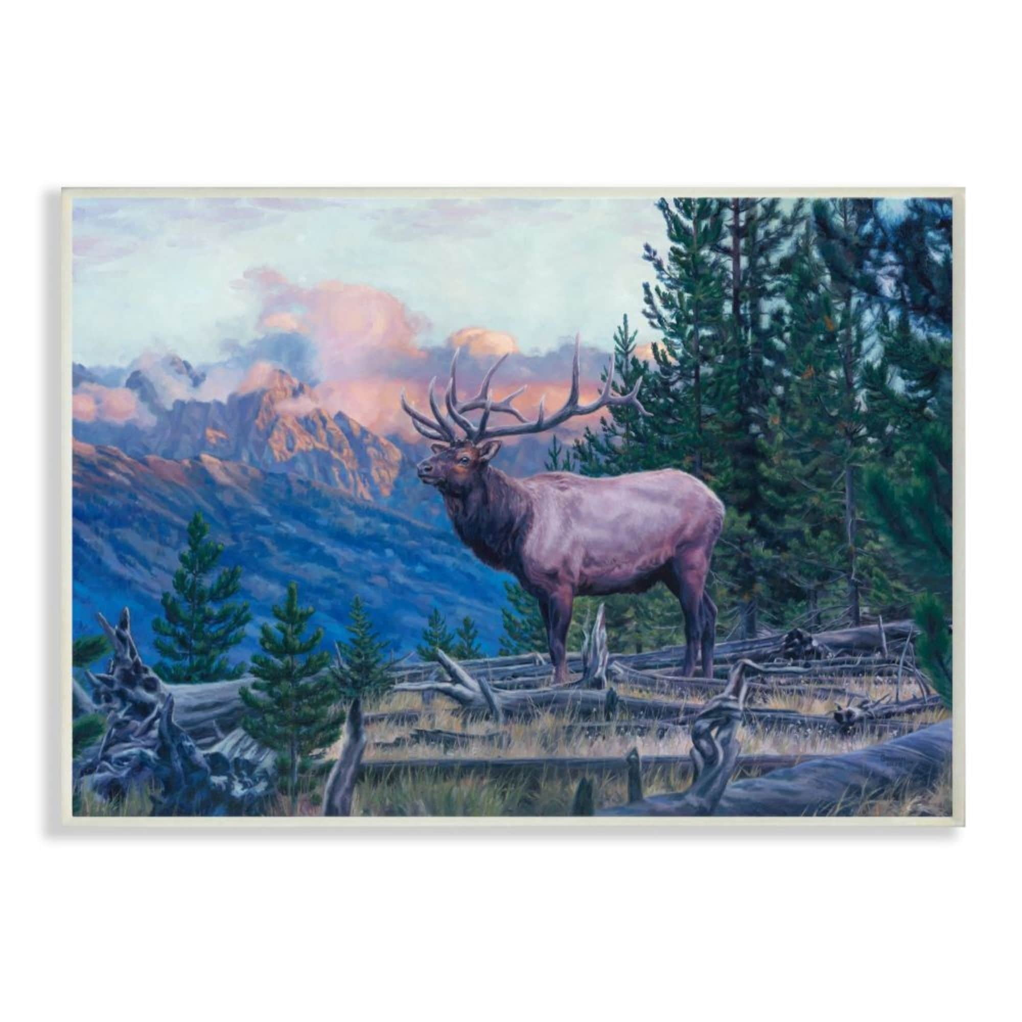 Stupell Industries Elk Forest Mountain Morning Sun Woodland Animal Design by David Graham