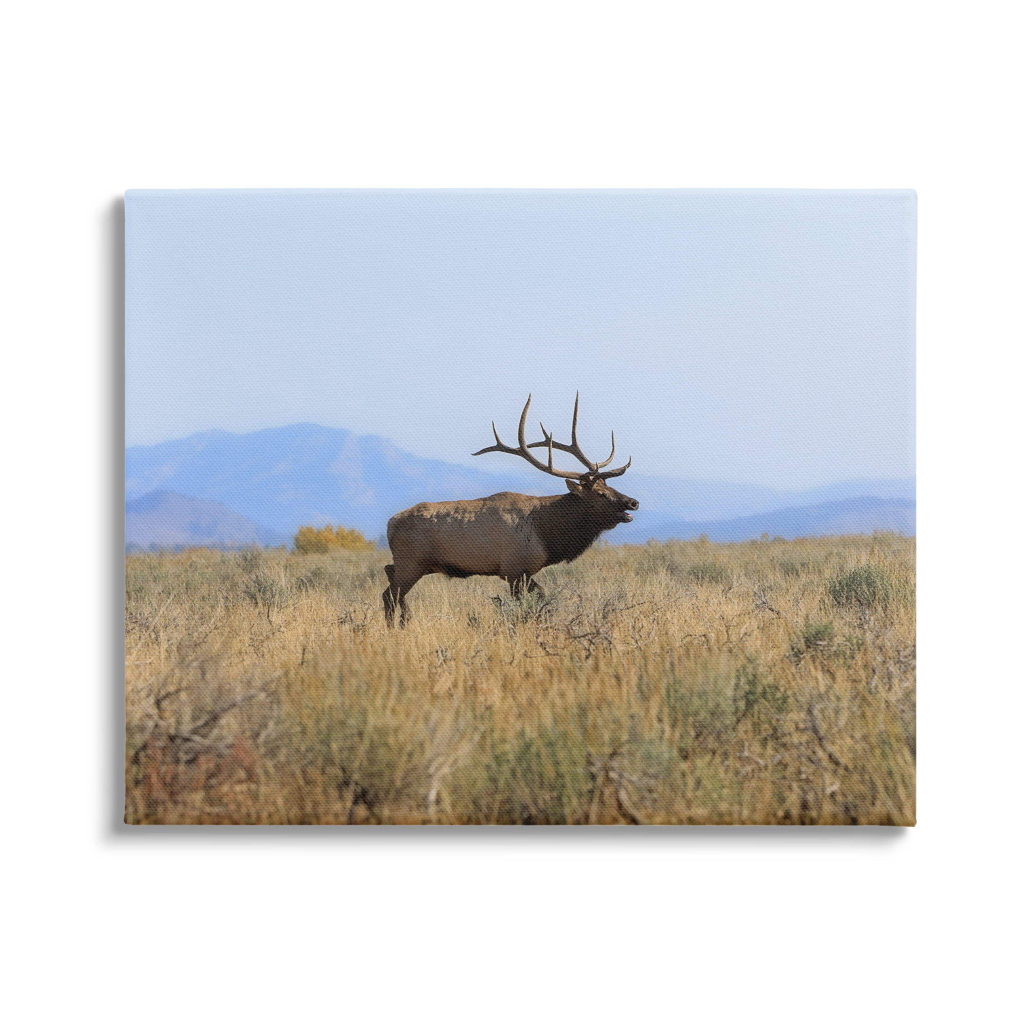 Stupell Industries Elk Grazing Pasture Grassland Blue Distant Mountains Canvas Wall Art, 48 x 36, Design by Daniel Sproul