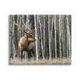 thumbnail image 1 of Stupell Industries Elk Looming Out Birch Trees Animal Forest Photograph,48 x 36, Design by Danita Delimont, 1 of 7