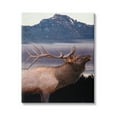 thumbnail image 1 of Stupell Industries Elk Mountain Landscape Animals & Insects Painting Gallery Wrapped Canvas Art Print Wall Art, 16 x 20, 1 of 8