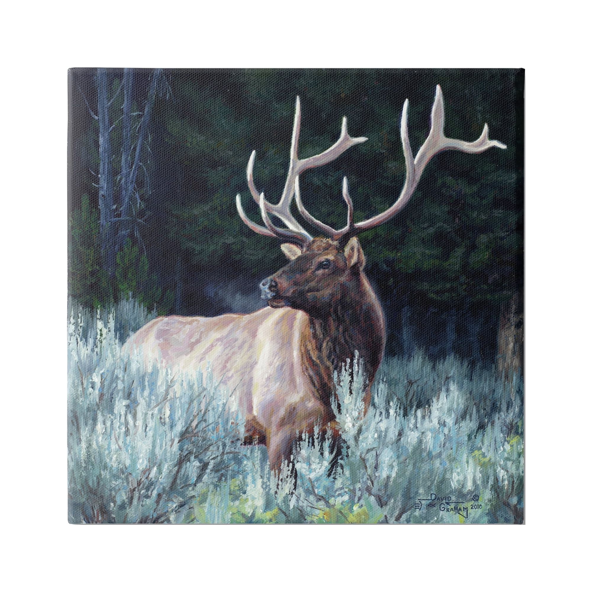 Stupell Industries Elk in Forest Painting Animals & Insects Painting Gallery Wrapped Canvas Print Wall Art, 24 x 24