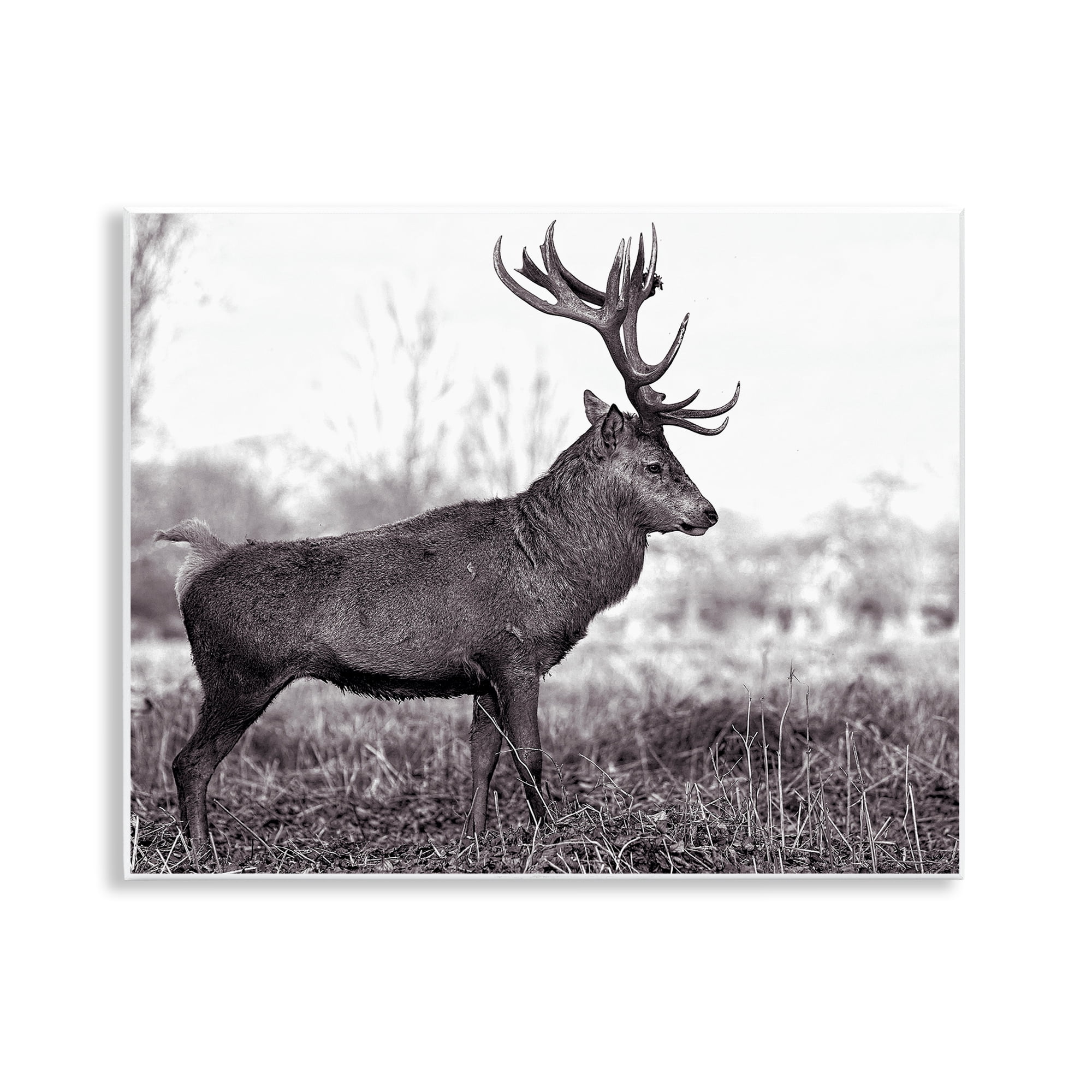 Rustic Black and White Elk Photography MDF Wall Art, 14 x 11