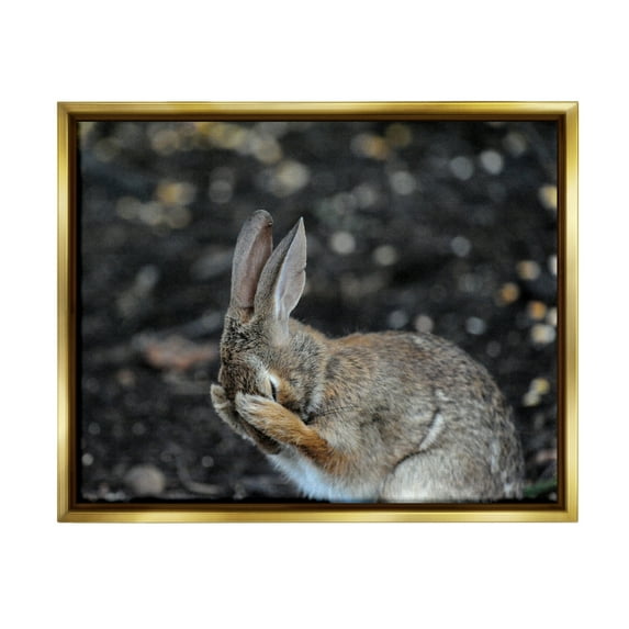 Stupell Industries Embarrassed Rabbit Photograph Animals & Insects Photography Gold Floater Framed Canvas Art Print Wall Art, 21 x 17