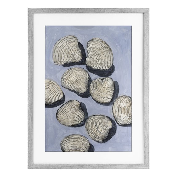 Stupell Industries Embellished Shells Arrangement Gray Framed Print Under Glass design by Michael Willett, 23 x 17