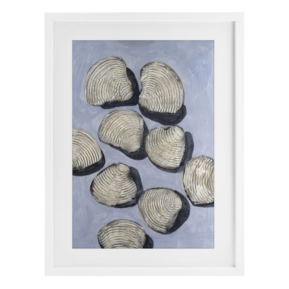 Stupell Industries Embellished Shells Arrangement White Framed Print Under Glass design by Michael Willett, 23 x 17