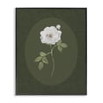 thumbnail image 1 of Stupell Industries Transitional Emerald & White Oval Rose Black Framed Giclee Art, 11 x 14, by Sally Swatland, 1 of 8