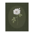 thumbnail image 1 of Stupell Industries Transitional Emerald & White Oval Rose Canvas Art, 16 x 20, by Sally Swatland, 1 of 8