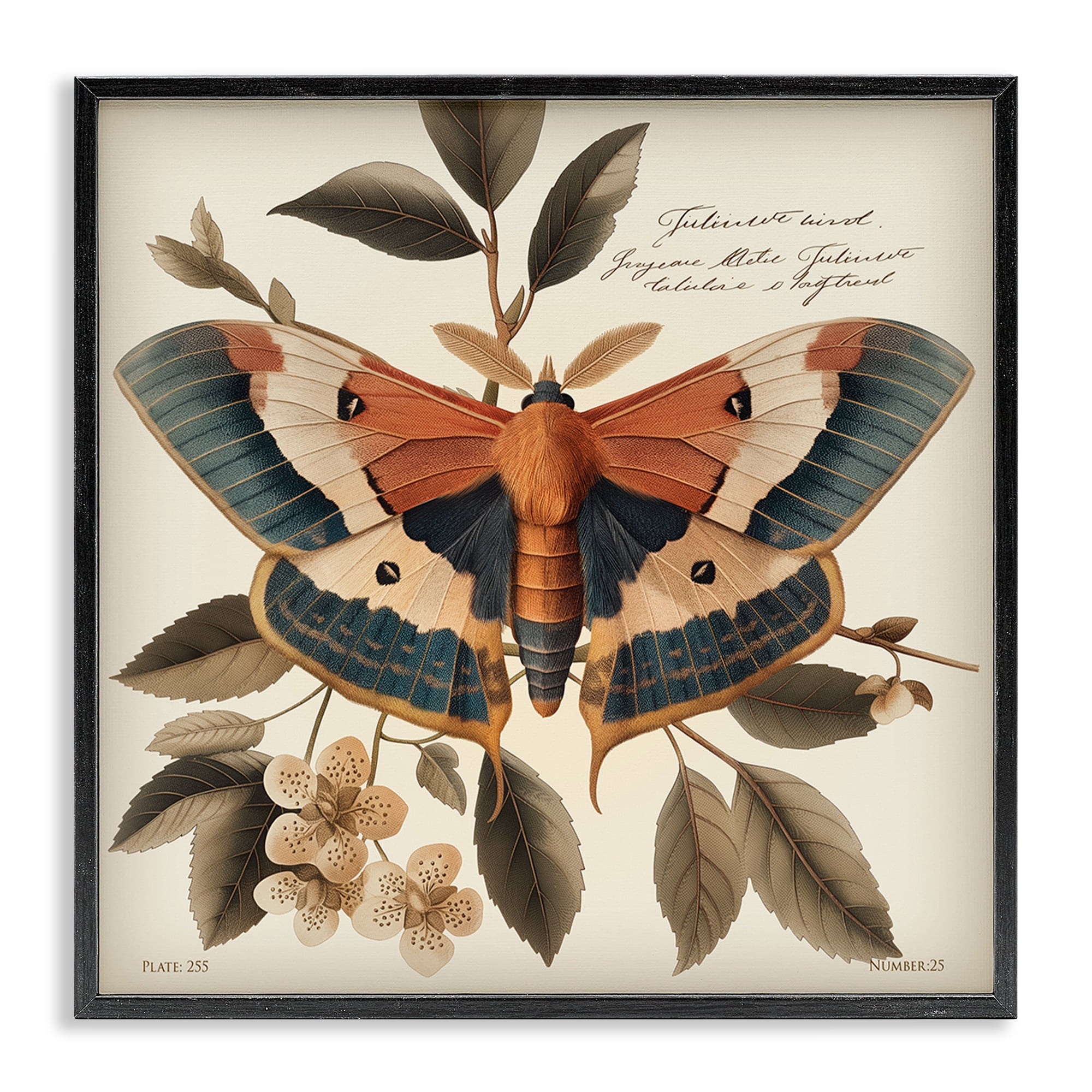 Stupell Industries Enchanting Moth & Plant Animals Painting Black Framed Art Print Wall Art, 12 x 12