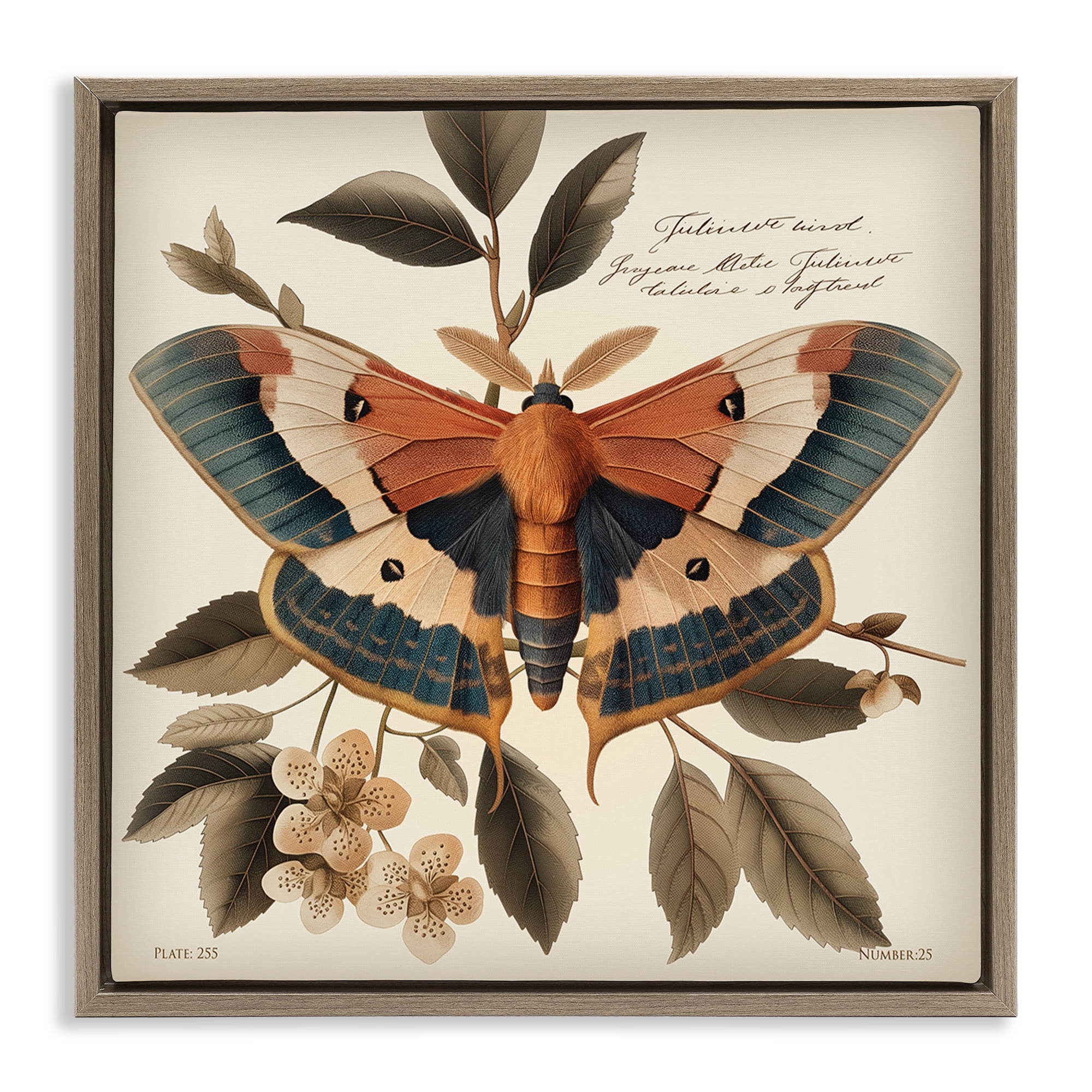 Stupell Industries Enchanting Moth & Plant Animals Painting Brown Floater Framed Canvas Art Print Wall Art, 18 x 18