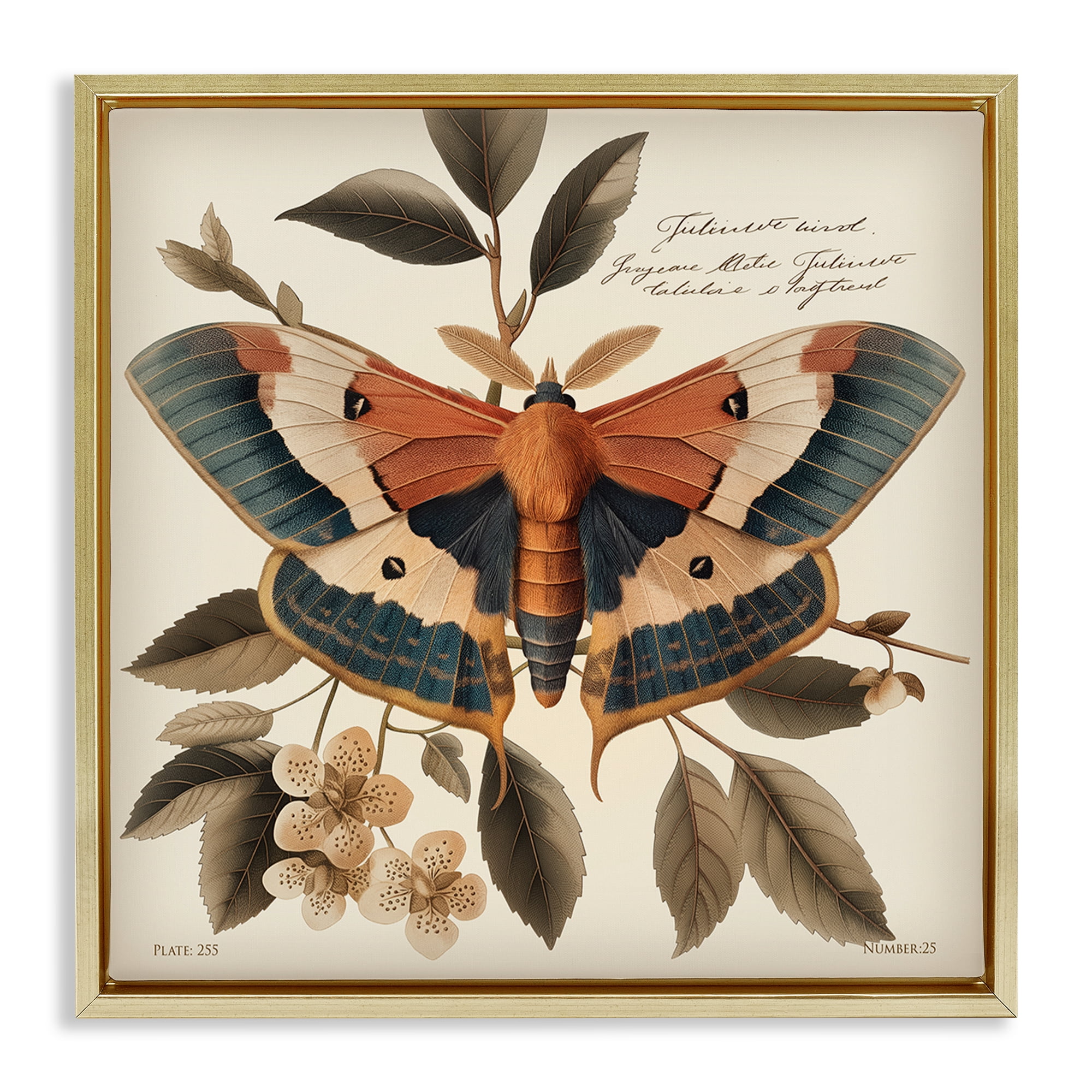 Stupell Industries Enchanting Moth & Plant Animals Painting Gold Floater Framed Canvas Art Print Wall Art, 25 x 25