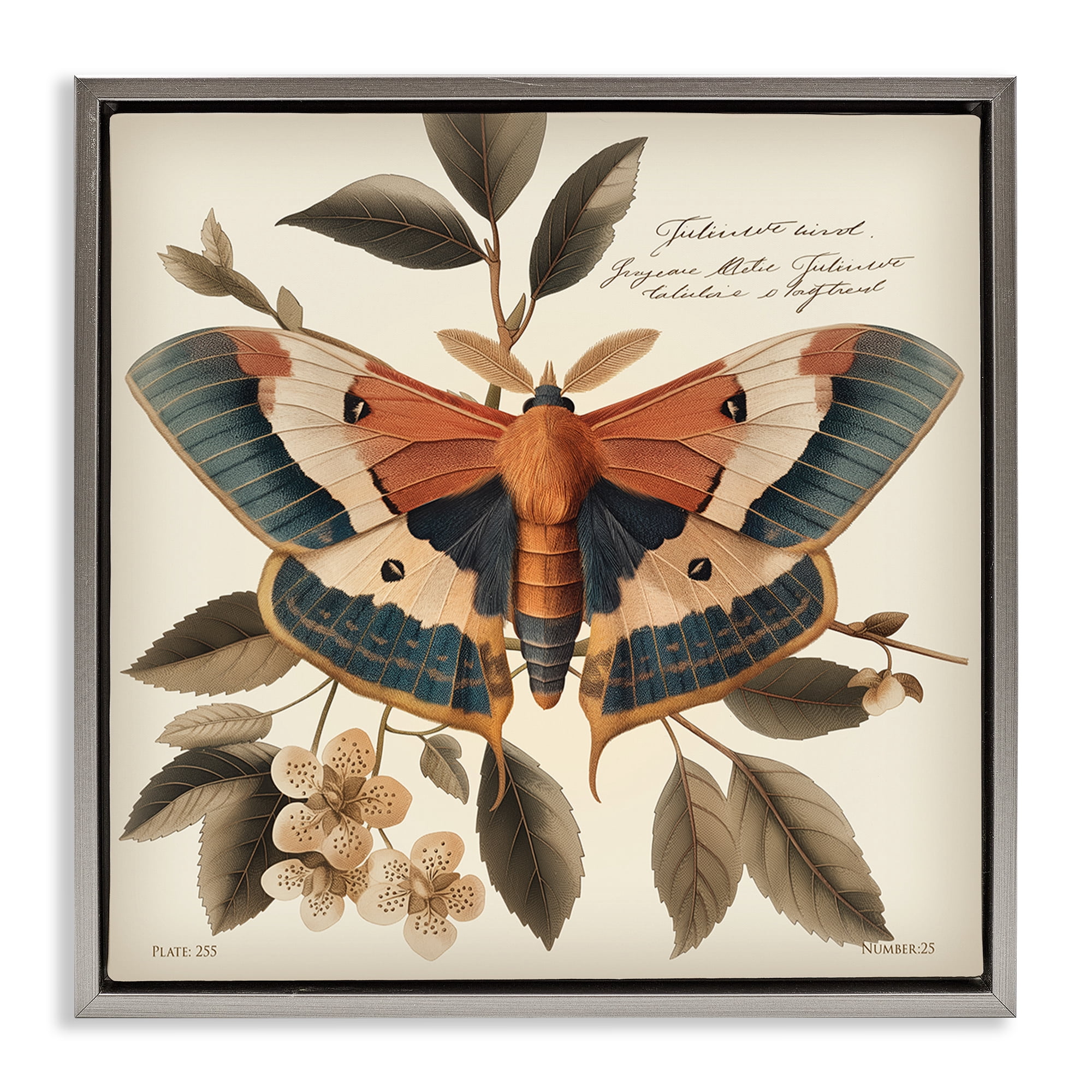 Stupell Industries Enchanting Moth & Plant Animals Painting Gray Floater Framed Canvas Art Print Wall Art, 25 x 25