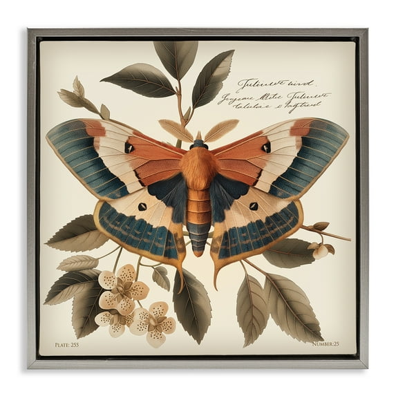 Stupell Industries Enchanting Moth & Plant Animals Painting Gray Floater Framed Canvas Art Print Wall Art, 25 x 25