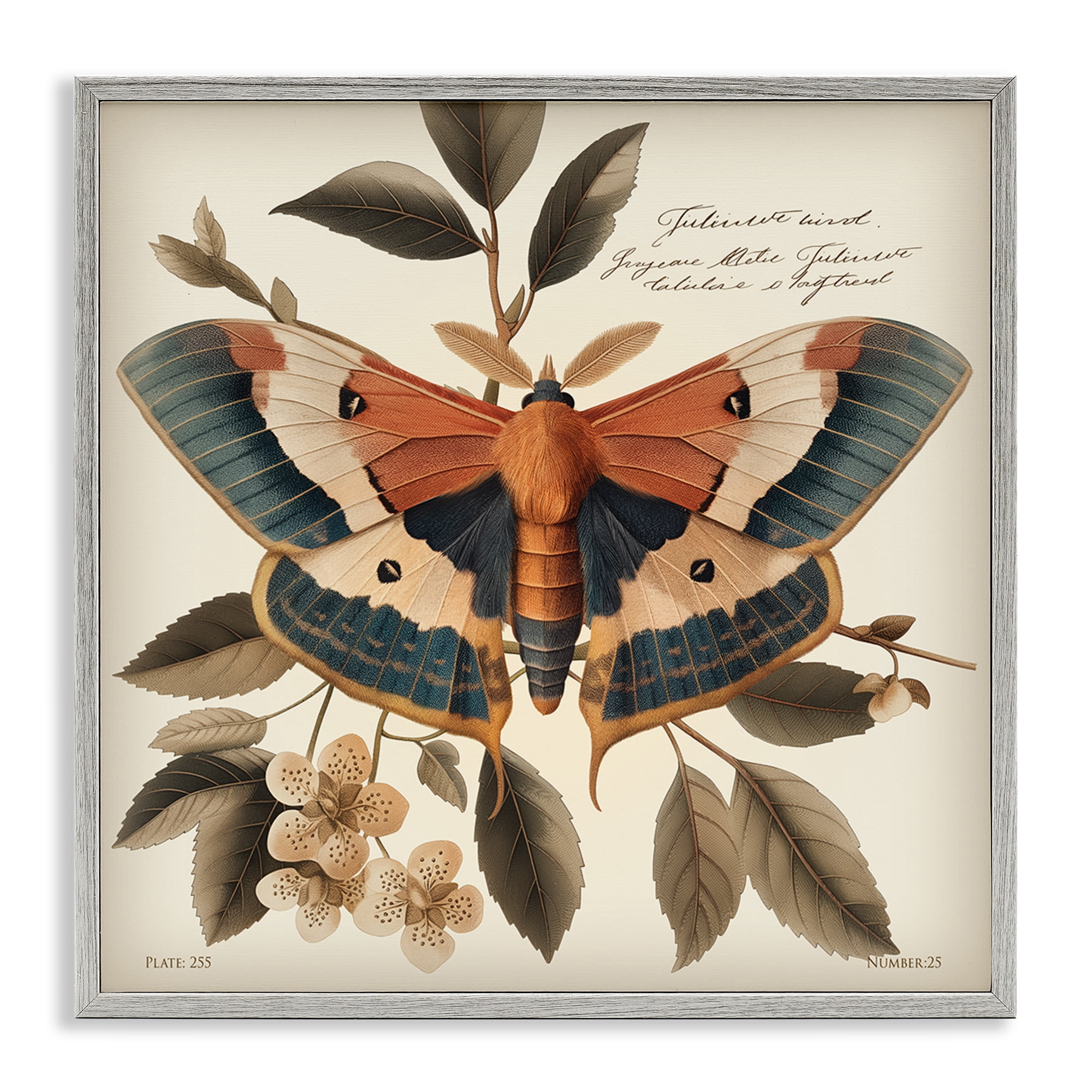 Stupell Industries Enchanting Moth & Plant Animals Painting Gray Framed Art Print Wall Art, 12 x 12