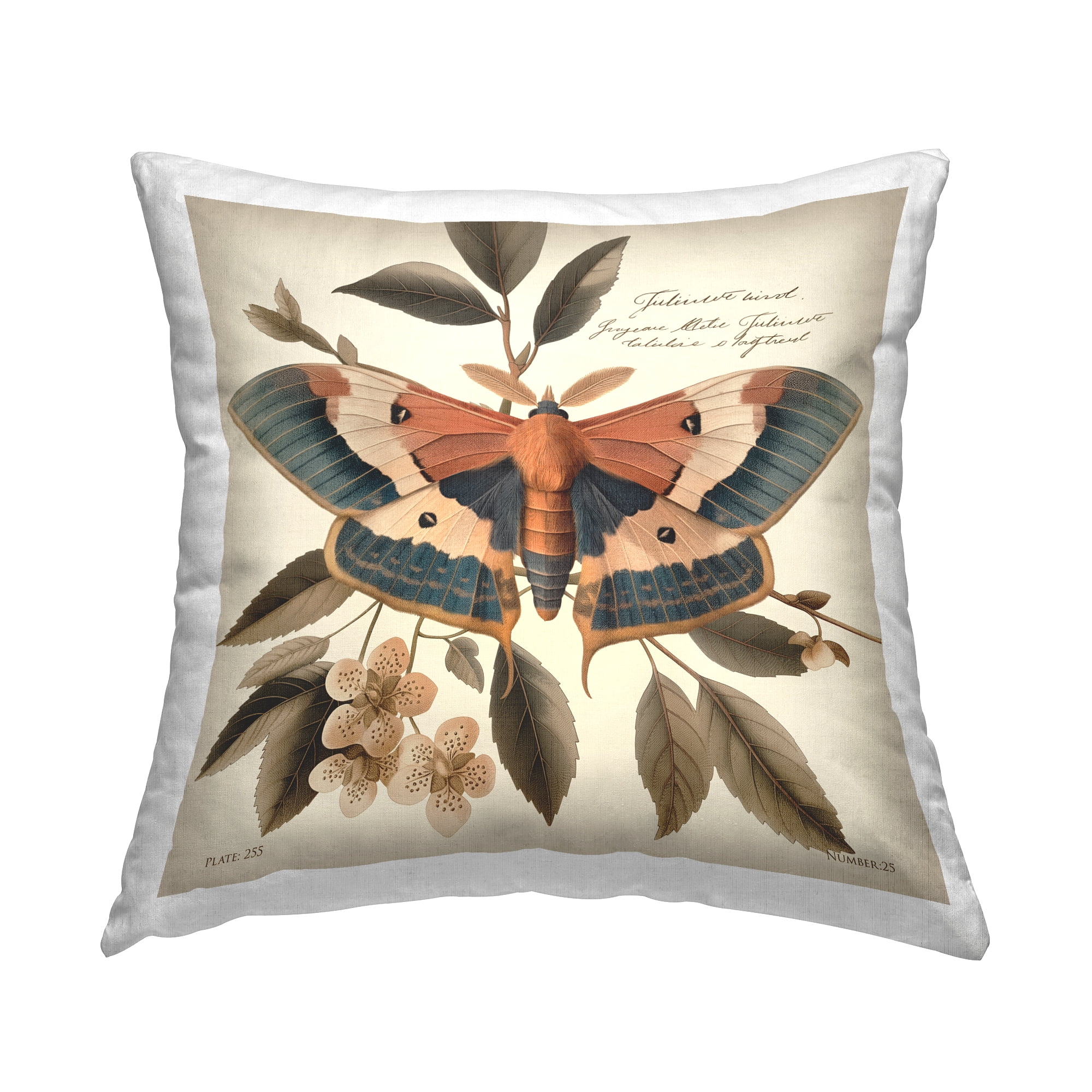 Stupell Industries Enchanting Moth & Plant Decorative Printed Throw Pillow Design by Steve Huntziker.