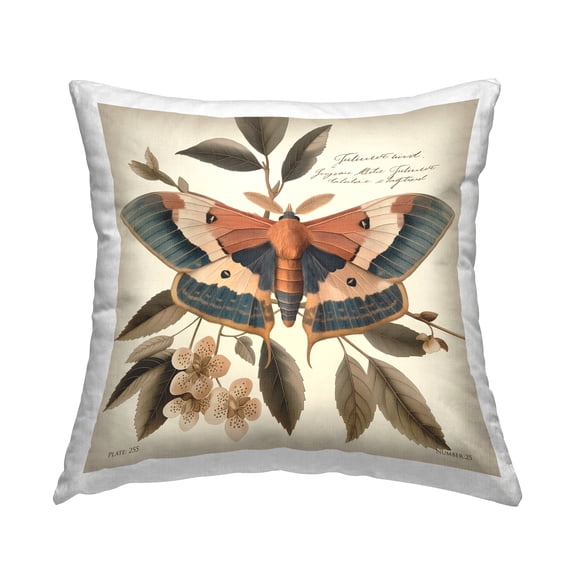 Stupell Industries Enchanting Moth & Plant Decorative Printed Throw Pillow Design by Steve Huntziker.