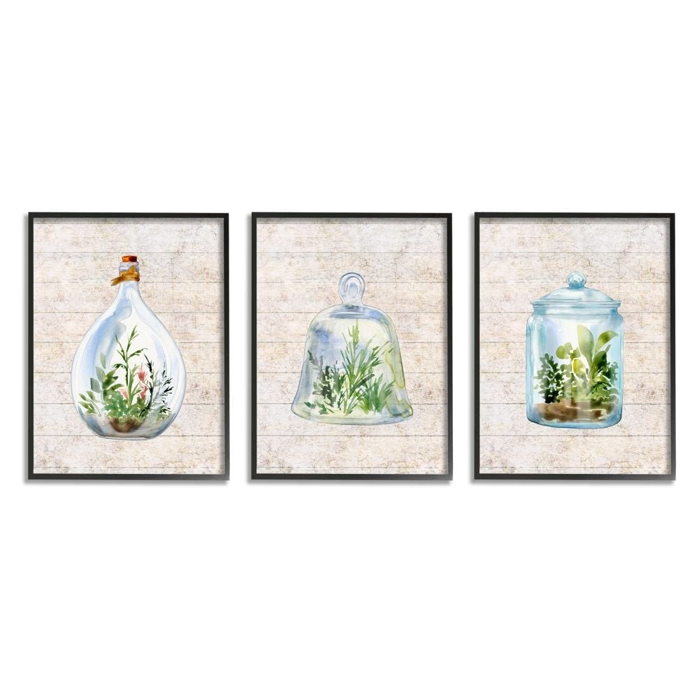 Stupell Industries Enclosed Succulent Jars Rustic Charm Greenery Illustration Framed Wall Art Design by Sherri Buck Baldwin, 3 Piece, 11" x 14", Black Framed